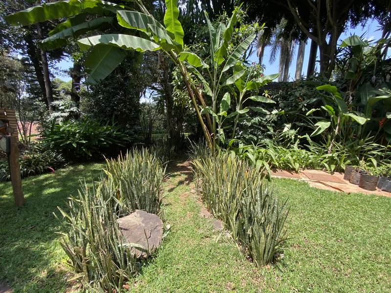 Manor on Lower Kabete - Gallery 46